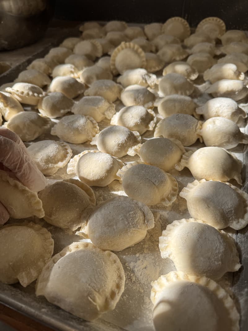 Rows of handmade pierogi on a floured table